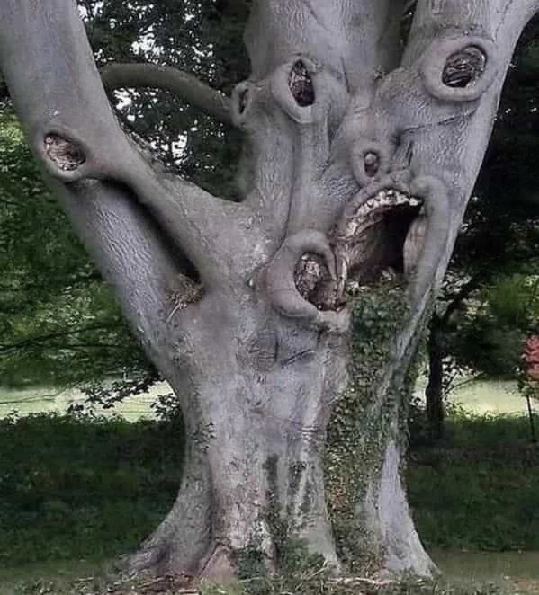 30 Bizarre Images You’ll Only See Online – Season 3